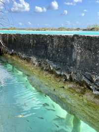 Bacalar: Mexico’s Magical Lagoon of Seven Colors!