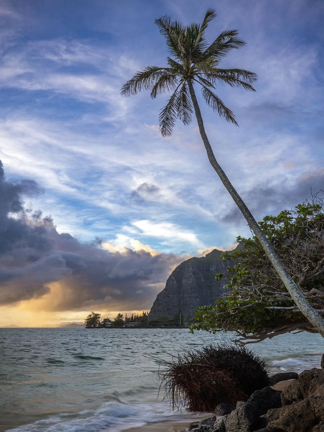🫶🏽3 Reasons Why everyone ❤️ Oahu🥰