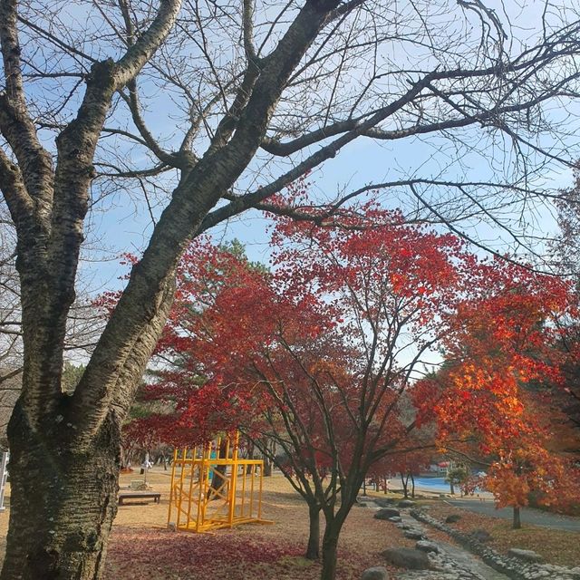 12월에도 단풍 볼 수 있는 울산대공원