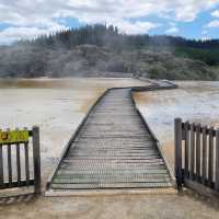 Waiotapu Thermal Wonderland: A Geothermal Marvel