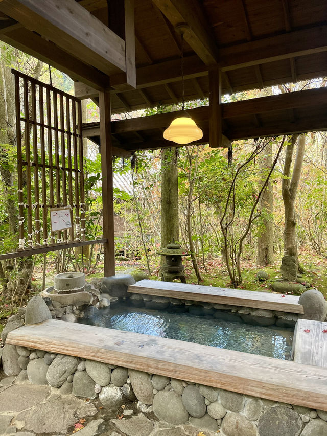 【大分温泉】山に溶け込むように佇むお宿