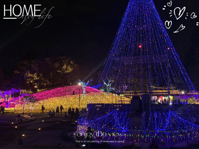 งานประดับไฟ Christmas 🎄 