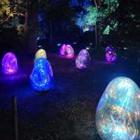 大阪景點|走進夜間奇幻世界—大阪長居植物園teamLab