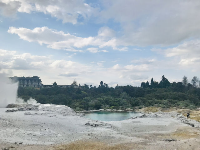 🇳🇿新西蘭間歇泉 蒂普亞地熱保護區