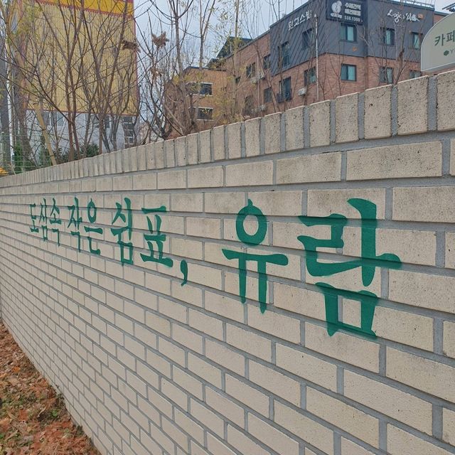 다같은 브런치가 아니야!  대전 브런치 카페 유람