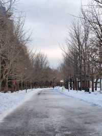 札幌市❄️中島公園❄️💙First Love💙初戀💙取景地