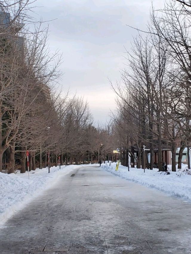 札幌市❄️中島公園❄️💙First Love💙初戀💙取景地