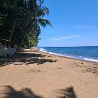 Diving in Dauin...no boat needed??