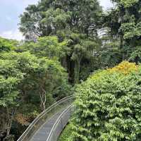 Southern Ridges