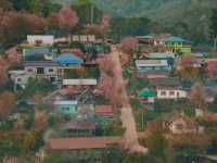 บ้านร่องกล้า…หมู่บ้านสีชมพูท่ามกลางม่านหมอก