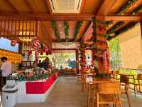 คาเฟ่สไตล์ญี่ปุ่นบรรยากาศดีฟีลแคมป์ปิ้ง