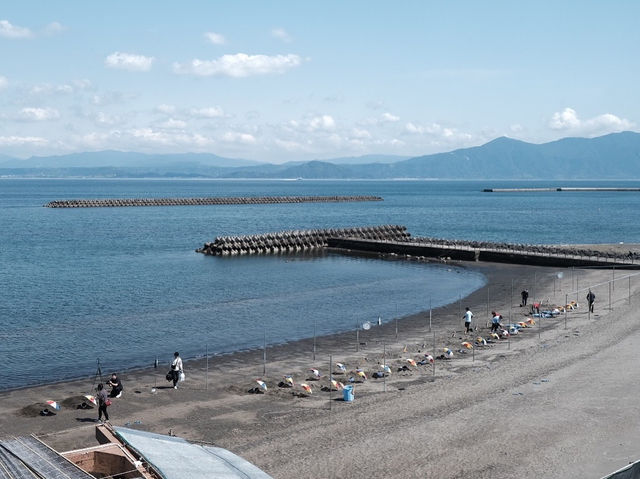 【鹿兒島1️⃣日遊：JR「指宿玉手箱」觀光列車 + 指宿沙浴初體驗🏖️ 】（下）