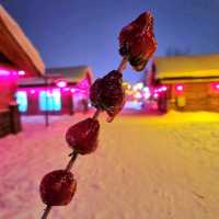 The China Snow Town