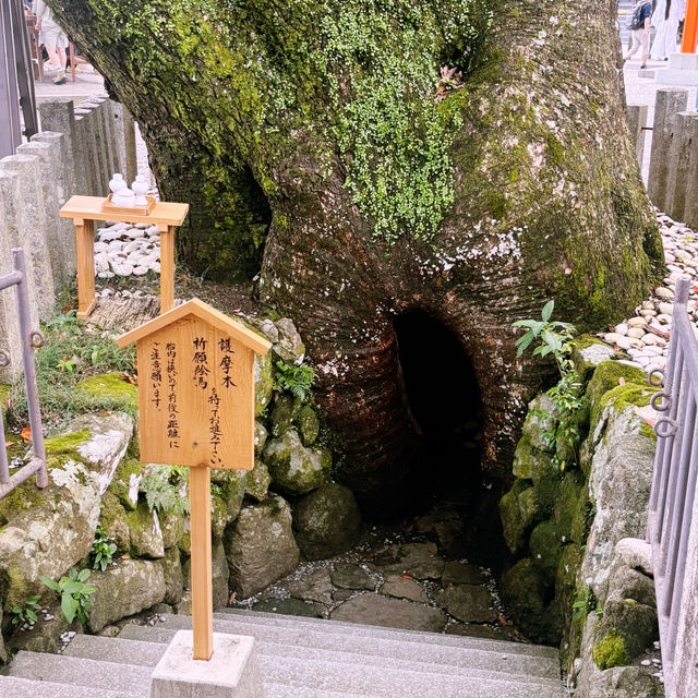 震撼心靈的熊野古道與那智瀑布