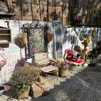 บ้านข้างวัด ที่เที่ยวใหม่ของคนเชียงใหม่