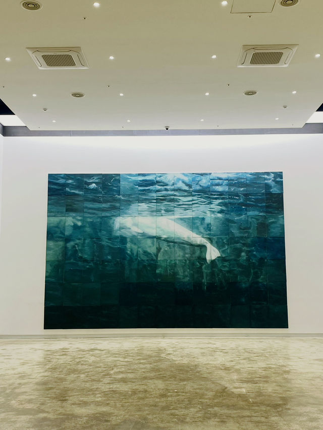 수산물 가공 공장의 변신! 거제 ‘아그네스 파크’ 🌊✨
