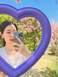 서울 벚꽃명소 🌸 보라매공원 겹벚꽃 보기