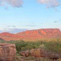 A Wild Adventure Awaits: My Unforgettable Day at Kakadu National Park !!