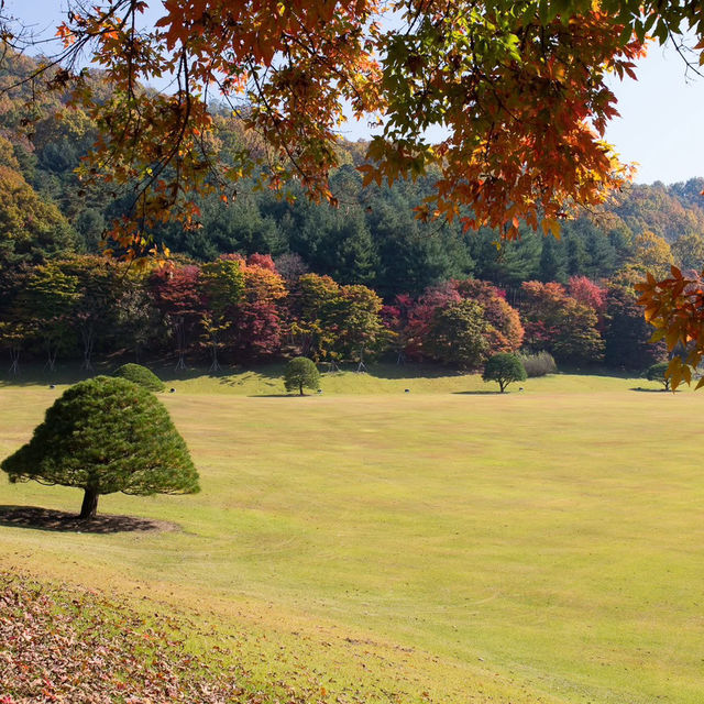 Cheongnamdae Presidential Villa 