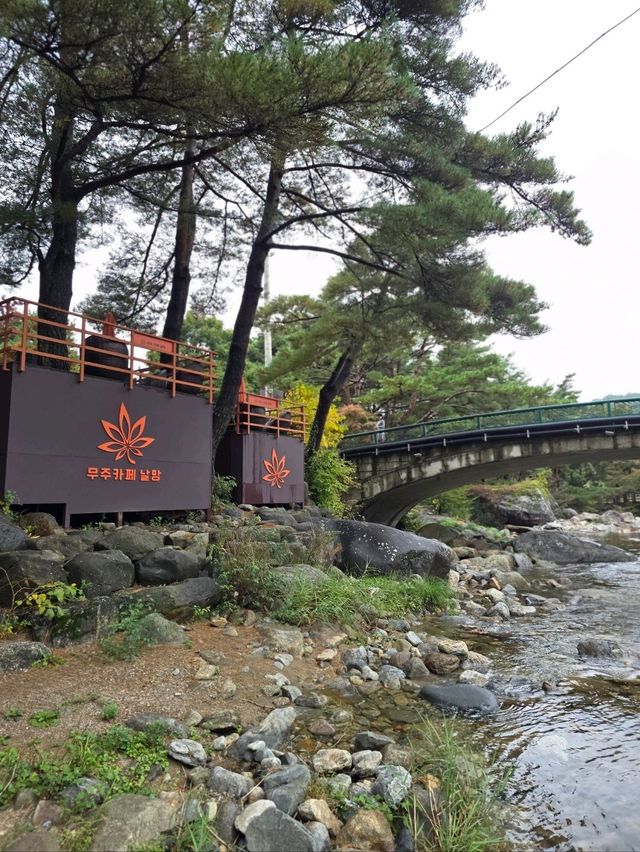 야외정원이 예쁜 무주 역대급 단풍카페🧡