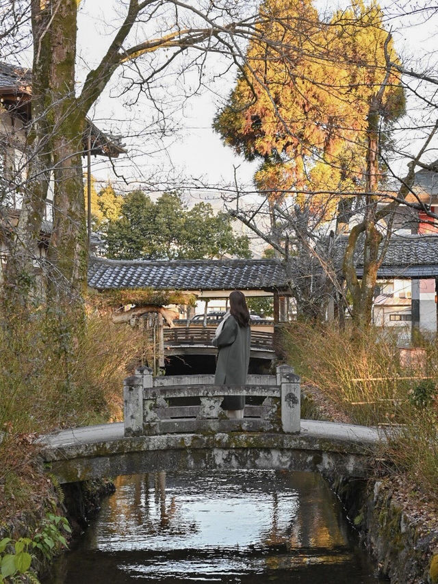 【京都】嵐山駅から1駅"松尾大社"の魅力⛩️