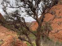 Valley of the Winds: A Kata Tjuta Adventure