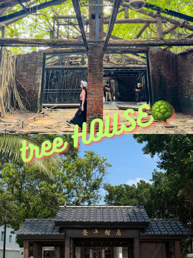 【台南】🌿自然と歴史が織りなす幻想空間！安平樹屋の魅力🌿 