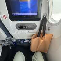 Experience flying All Nippon Airways