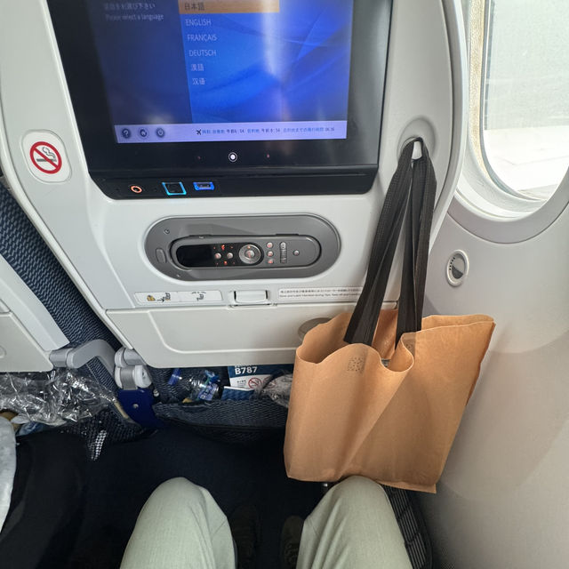 Experience flying All Nippon Airways