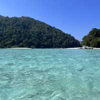 หมู่เกาะสุรินทร์ ในช่วงพีคpeak season🐳