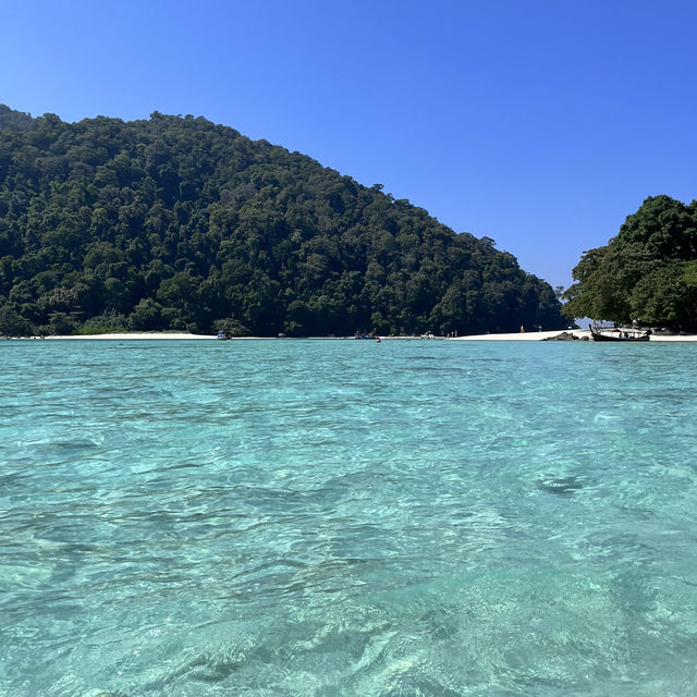 หมู่เกาะสุรินทร์ ในช่วงพีคpeak season🐳