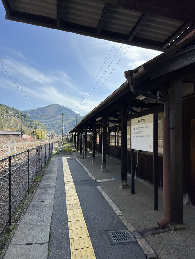 【長野】レトロな駅舎🚉沿線に梅が咲き誇る駅
