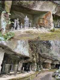 【宮城×冬の旅】樹齢400年の杉の巨木が・・