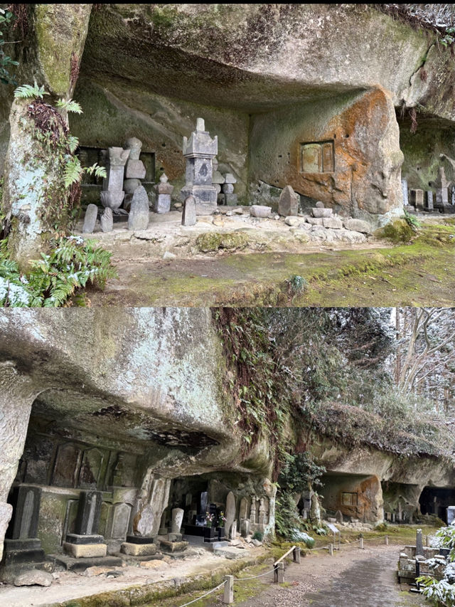 【宮城×冬の旅】樹齢400年の杉の巨木が・・