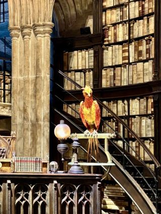 🦄 สถานที่เดทในร่มในโตเกียวที่แนะนำ 💖 ที่จะทำให้คุณรู้สึกเหมือนได้เข้าไปในโลกแห่งจินตนาการ