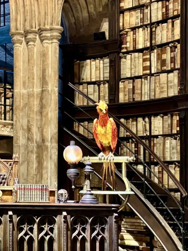 판타지의 세계로 들어온 듯한 🦄 도쿄 실내데이트 핫플 추천 💖