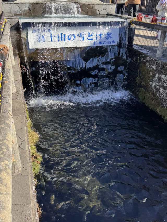 富士山網美打卡一日遊行程 太適合懶人無腦跟著走