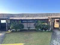 อาข่า ฟาร์มวิลล์ (Akha FarmVille)