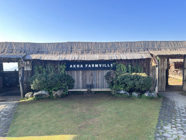 อาข่า ฟาร์มวิลล์ (Akha FarmVille)
