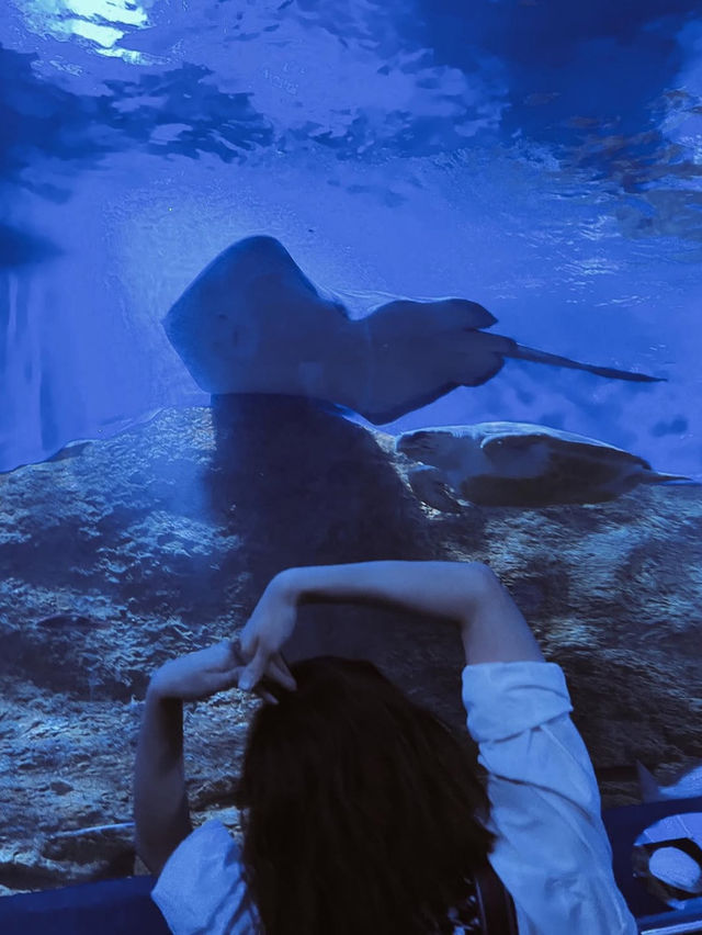 西澳水族館