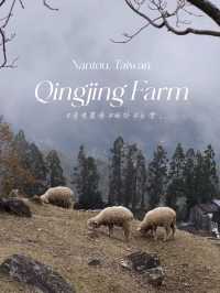 Qingjing Farm🐑 — Your Alpine Escape in Taiwan!