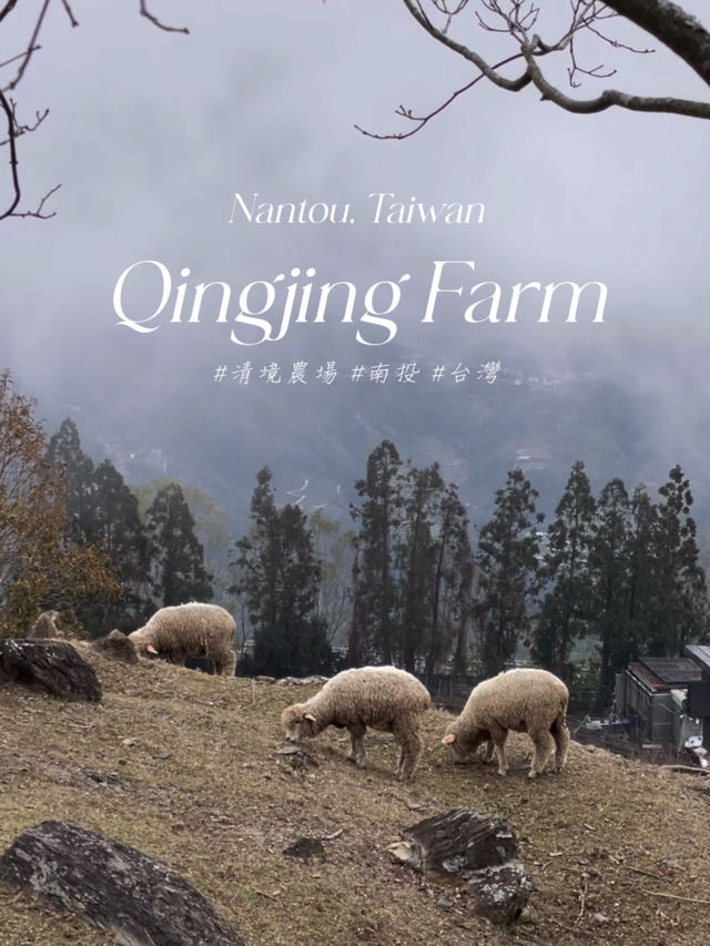 Qingjing Farm🐑 — Your Alpine Escape in Taiwan!