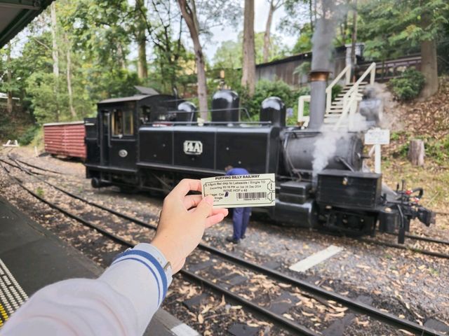 澳洲墨爾本旅遊真的絕絕子了😍
