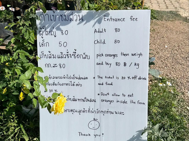 “สวนส้มจินจู”สวนส้มน่ารักสไตล์เกาหลี