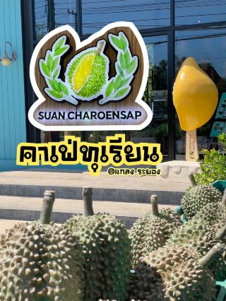 คาเฟ่ทุเรียน สำหรับคนรักทุเรียน 🍨👩🏻‍🌾