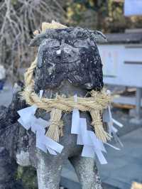 佐賀｜三千年神木跟茅之輪除厄 溫泉鄉武雄神社求愛情傘簽