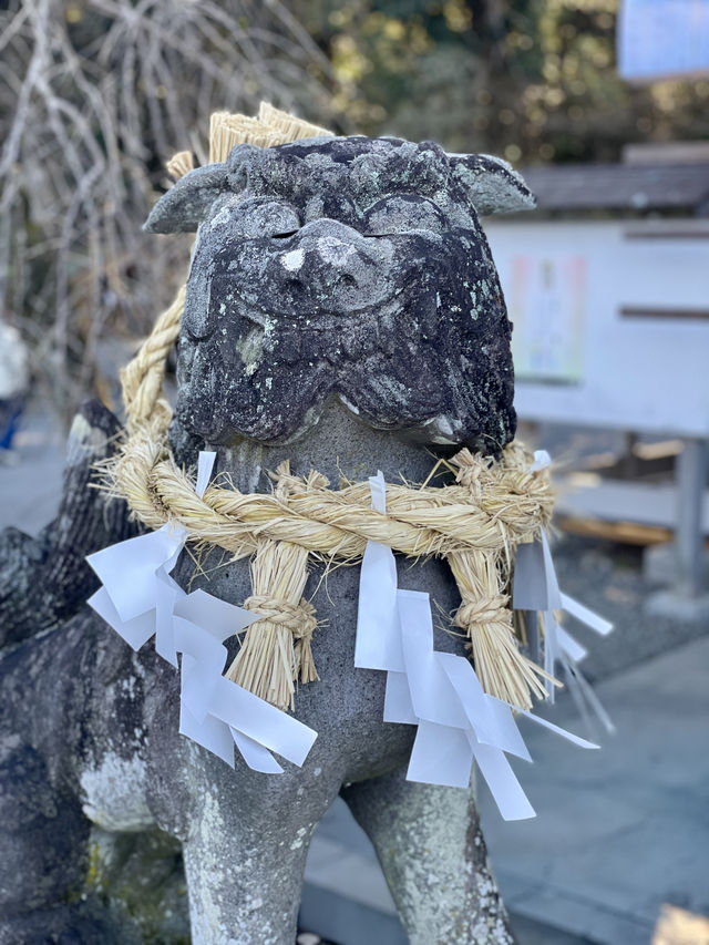 佐賀｜三千年神木跟茅之輪除厄 溫泉鄉武雄神社求愛情傘簽