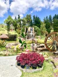 Vibrant Display of Flora @Betong Garden