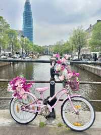 How to Explore Amsterdam in a Day
