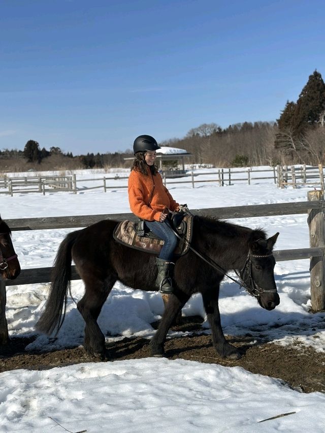青森で雪上乗馬体験
